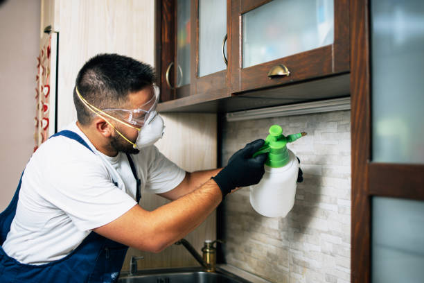 Best Termite Control Services  in Summitville, IN