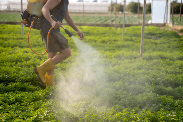 Insect Control in Summitville, IN