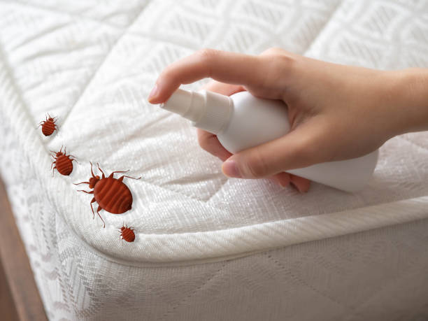 Pest Control for Restaurants in Summitville, IN