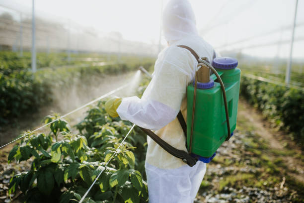 Best Pest Control for Restaurants  in Summitville, IN